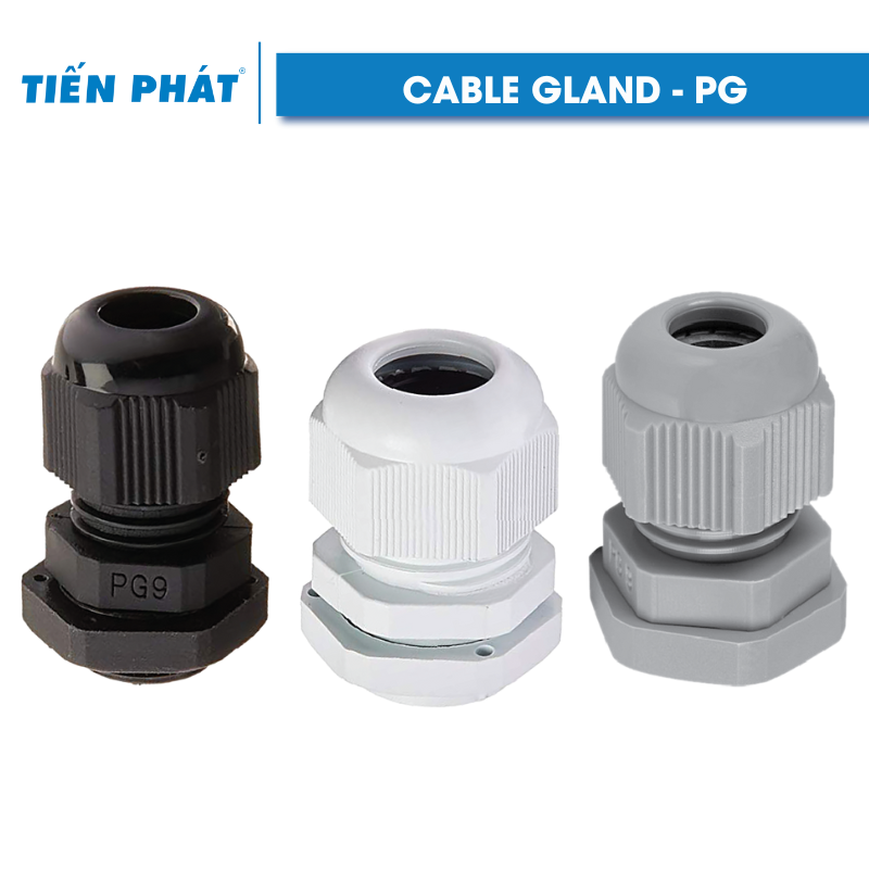 Cable Gland