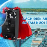 Cầu Dao TPE – CÁCH ĐIỆN AN TOÀN, AN TÂM NUÔI TRỒNG
