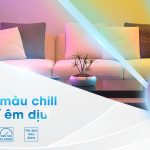 LED BULB ĐỔI MÀU THÔNG MINH TPE: LED ĐỔI MÀU CHILL – TRANG TRÍ THÊM DỊU
